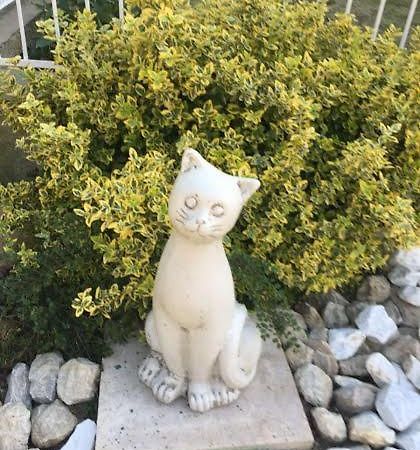شقة Lavender Hévíz المظهر الخارجي الصورة